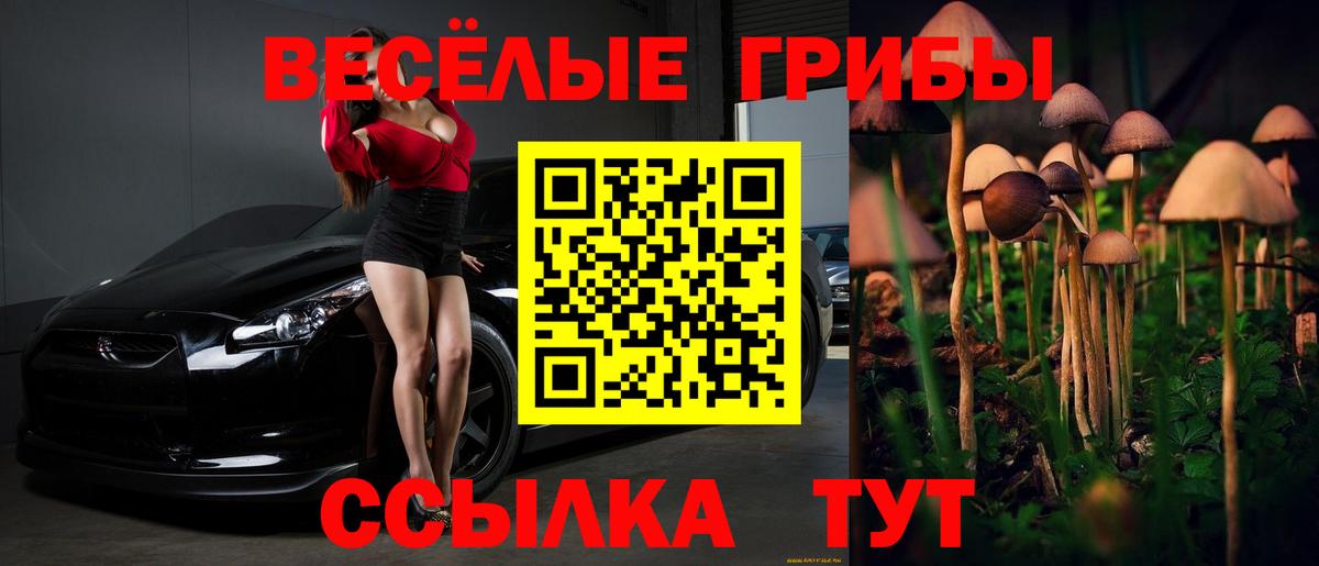 Майский  Псилоцибиновые грибы мухоморы  Вход с VPN 